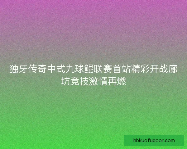 独牙传奇中式九球鲲联赛首站精彩开战廊坊竞技激情再燃