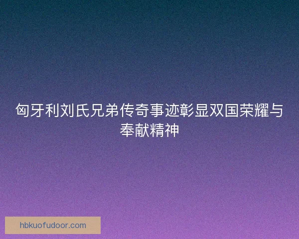 匈牙利刘氏兄弟传奇事迹彰显双国荣耀与奉献精神