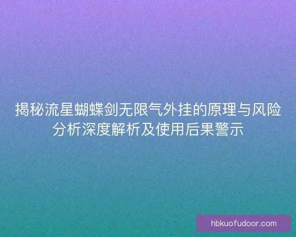 揭秘流星蝴蝶剑无限气外挂的原理与风险分析深度解析及使用后果警示