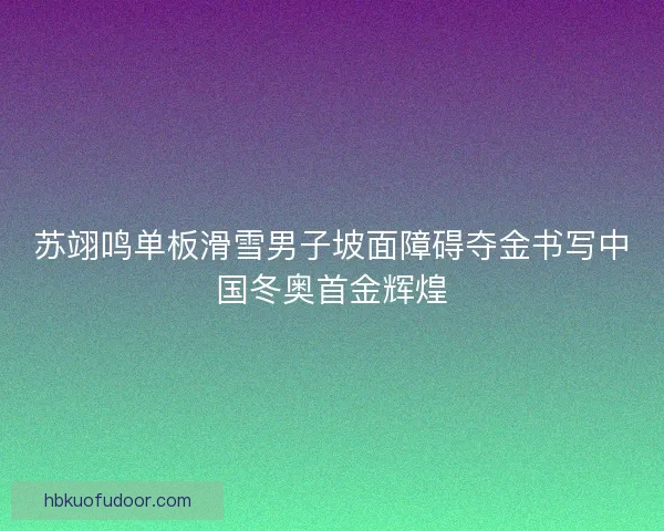 苏翊鸣单板滑雪男子坡面障碍夺金书写中国冬奥首金辉煌